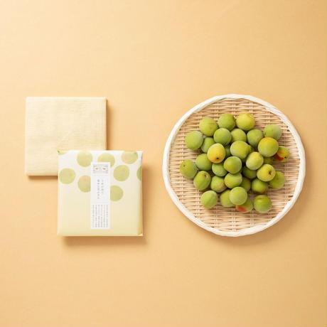 Food Textile x Traditional Cloth Dish Towel Dyed with Wasted Food Pigments 100% Cotton 5 Colors