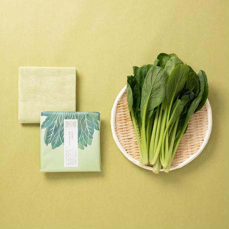 Food Textile x Traditional Cloth Dish Towel Dyed with Wasted Food Pigments 100% Cotton 5 Colors